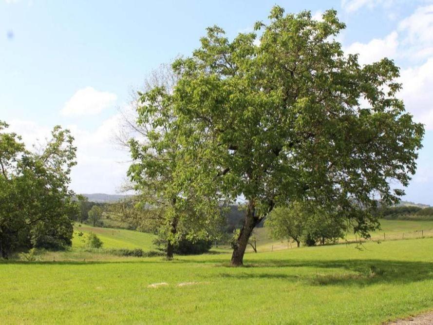 Domaine De Pech Mortier Bed and Breakfast Marcillac-Saint-Quentin Buitenkant foto
